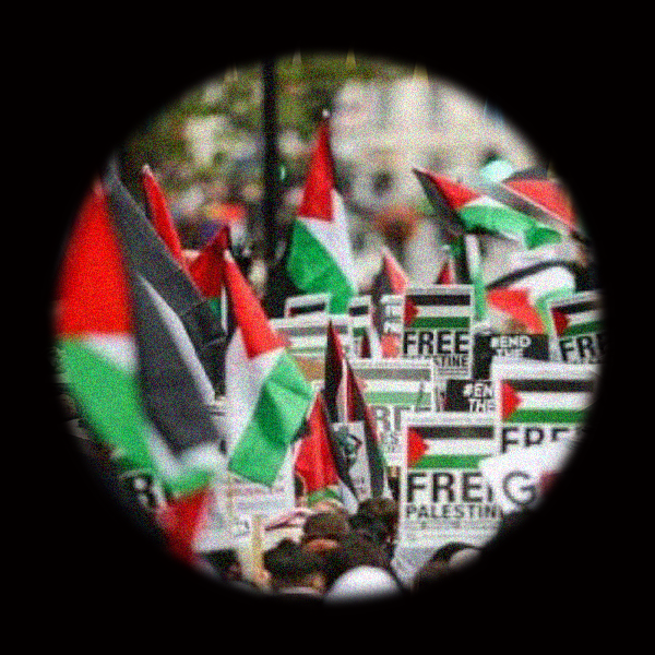 برنامج الاسناد التضامني